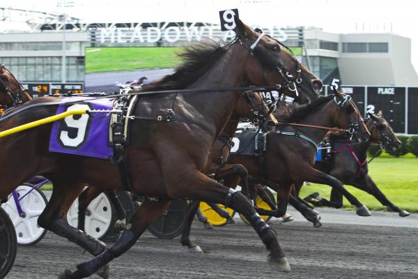 Harness: Thoughts on the potential absence of racing at The Meadowlands Harness: Thoughts on the potential absence of racing at The Meadowlands